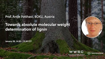 WWSC Wood Biopolymer Characterization Webinars: Antje Potthast, BOKU