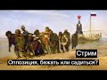 Оппозиция, бежать или садиться? Дмитрий Дёмушкин