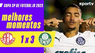 Jogos Palmeiras U20 ao vivo, tabela, resultados