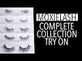 MOXIELASH LASH COMPARISON & TRY ON