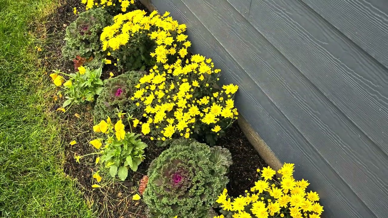 2025 Season of landscaping as a Landscape Foreman *look through* 