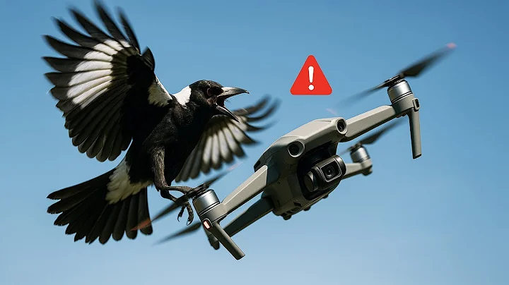 How to Stop Birds Attacking My Drone - The Cheap Fix PROS Swear By!