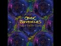 Ozric tentacles  space for the earth the tour that didnt happen edition