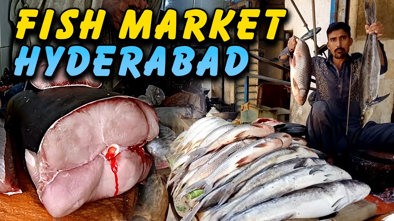 Fish Market Faqir ka Pir Hyderabad Vlog 145AqeelPathan YouTube