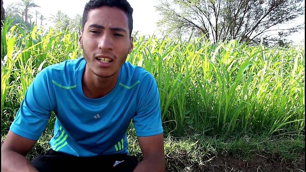 مزرعتي في رمضان|2|كيف زرعت الباميه والجرجير |الاجابه علي الاسئله