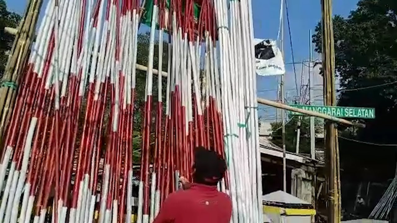 Jelang Hari Kemerdekaan Warga Manggarai Siapkan Batang Bambu Untuk Tiang Bendera Dan Umbul Umbul Youtube