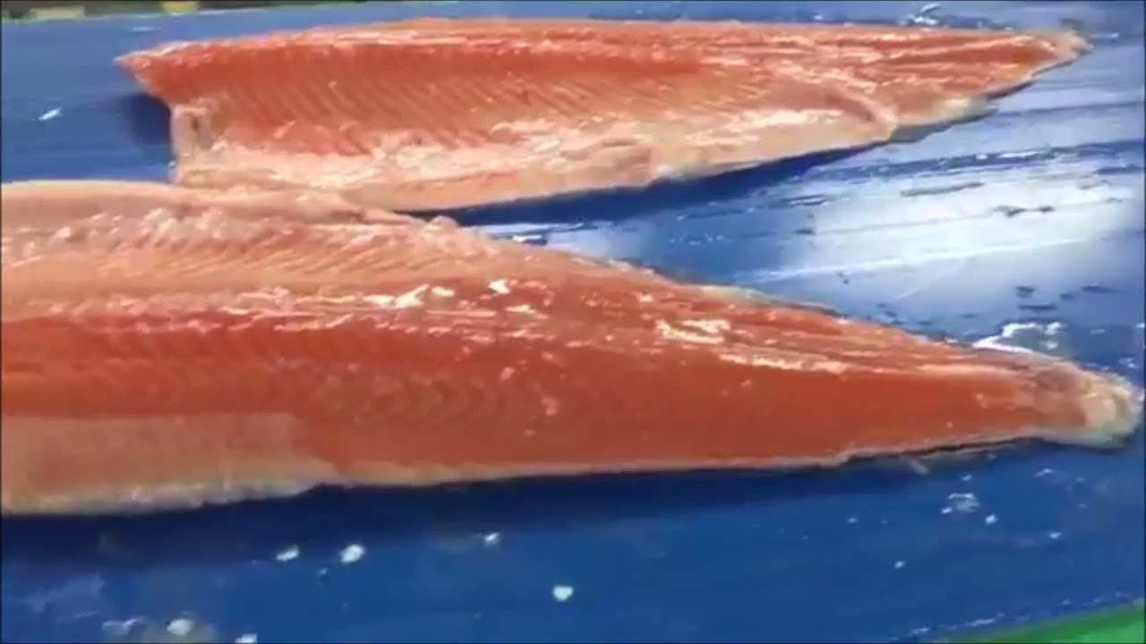 Marel MS 2730 Filleting machine for salmon