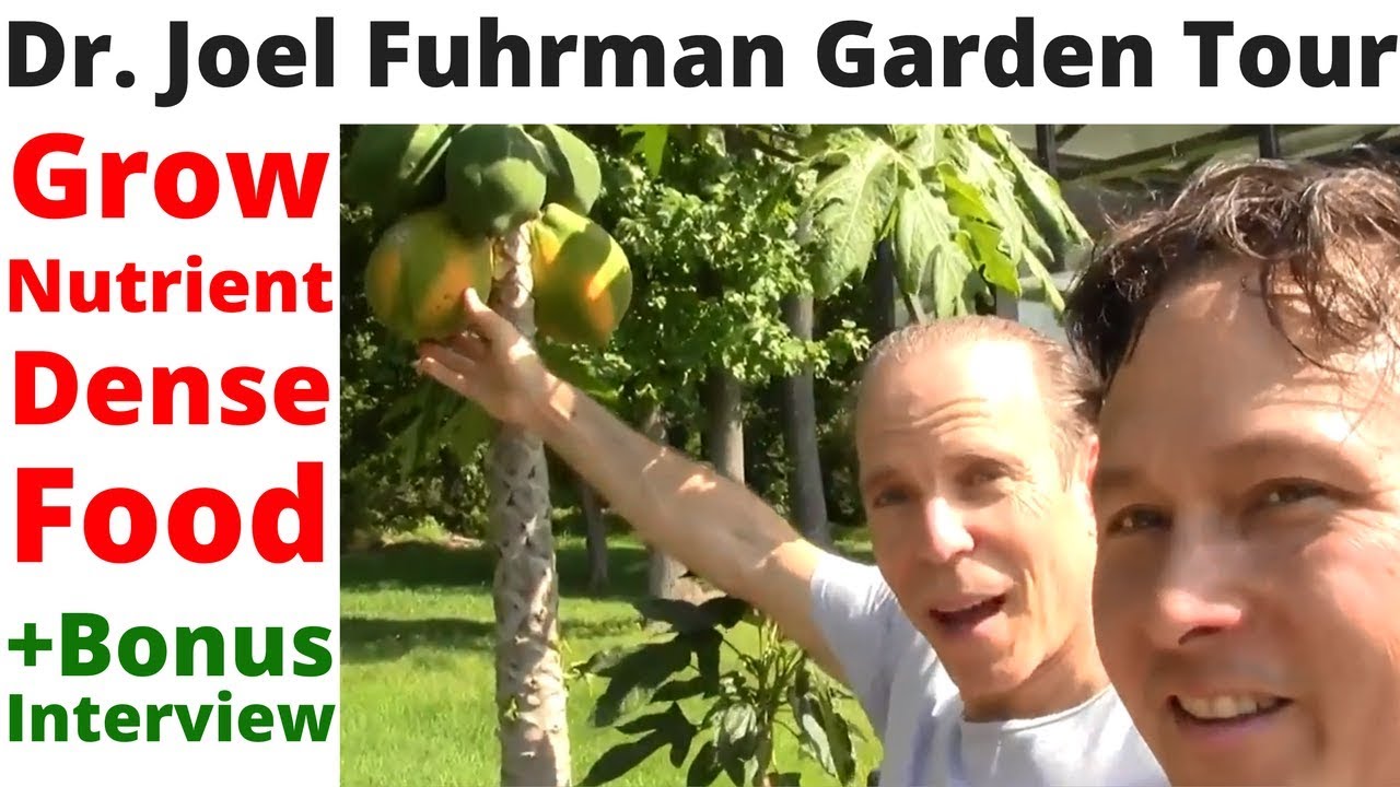 Growing Nutrient Dense Food with Dr. Joel Fuhrman - Tour His Garden
