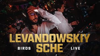 Levandowskiy, SCHE - Birds (Live in Gazgolder)