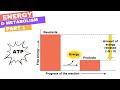 Biology Chapter 8 - Part 1: Energy and Metabolism