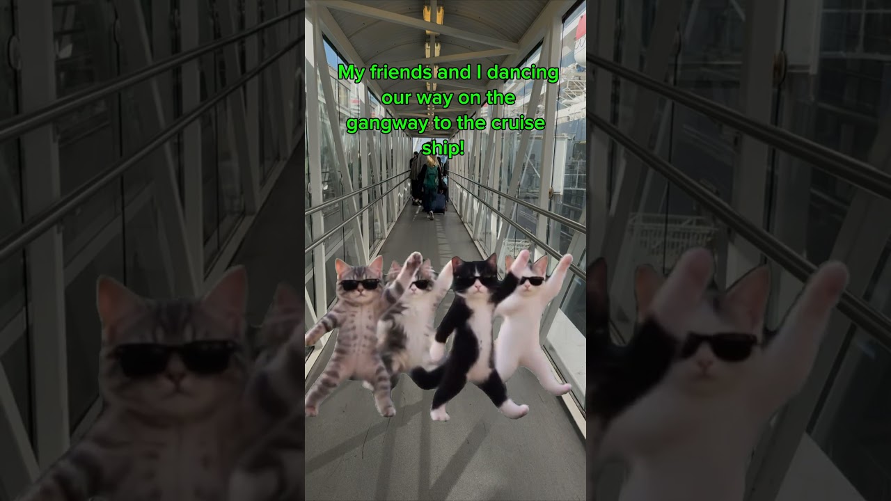 My friends and I dancing our way on the gangway to the cruise ship! #CruiseLife #Cruising 🛳️