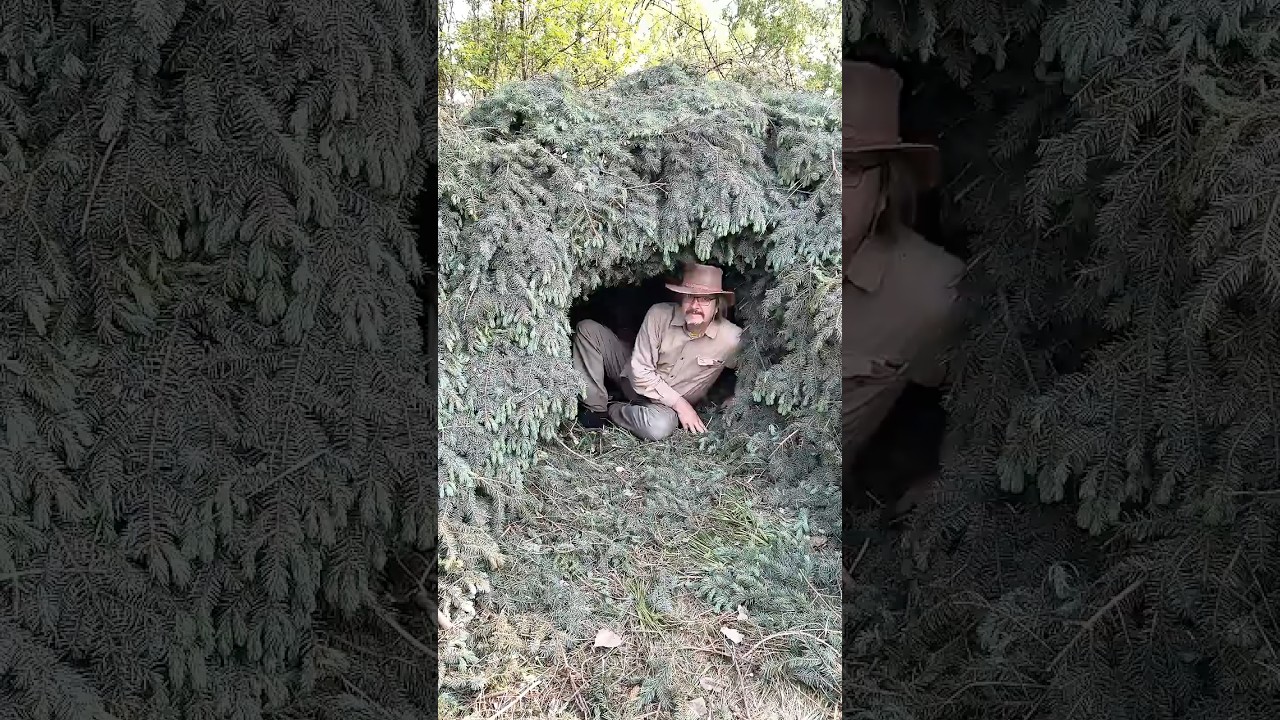 УКРЫТИЕ для выживания из сосновых веток!