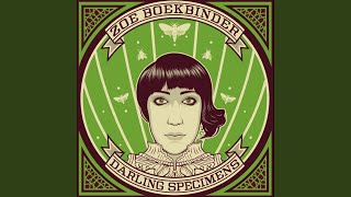 Video thumbnail of "Zoë Boekbinder - Sour Lemons"