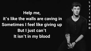 Shawn Mendes - In My Blood Lyrics