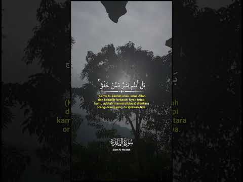 قابلة للضبط