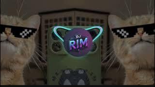 DJ VIRAL GAM GAM PIRI REMIX dj old viral