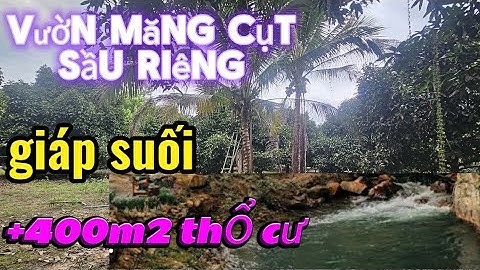 Nhà vườn bên suối có trái cây đẹp mát mẻ trong lành ở lâm đồng.