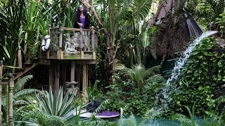 Grandmother Faces Eviction From ‘Paradise’ Treehouse