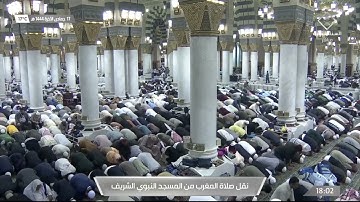 مغرب الثلاثاء |للشيخ عبدالله البعيجان 17-6-1444هـ |من سورة فصلت
