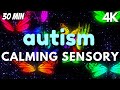 Sensory Music Relaxing Calming Beautiful Visuals 