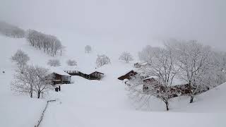 양떼목장 눈 내리는 풍경 Sheep ranch snowy scenery