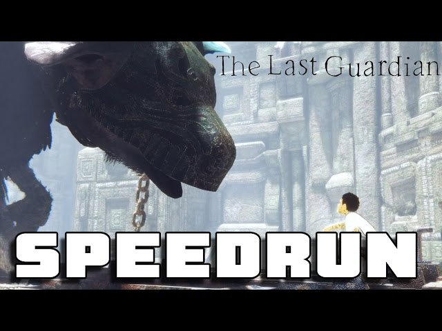 All Talked Out - 100% Complete Hint Walkthrough - The Last Guardian 