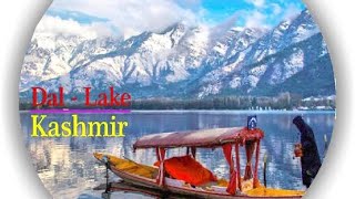 Dal Lake I Srinagar l Kashmir