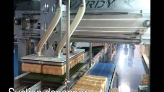 Industrial Bakery Divardy line