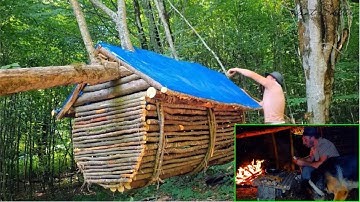 4 Days Alone in the Jungle Treehouse – What Happened Next Will Shock You!