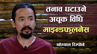 अब म को हुँ भन्ने जिज्ञासा बाँकी छैन  : छोग्याल रिम्पोछे || Chogyal Rinpoche ||