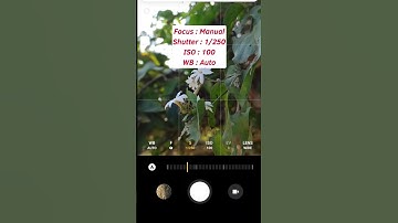 How to click flowers with bokeh background on Phone!😳easy trick #shortsvideo #youtubeshorts #shorts
