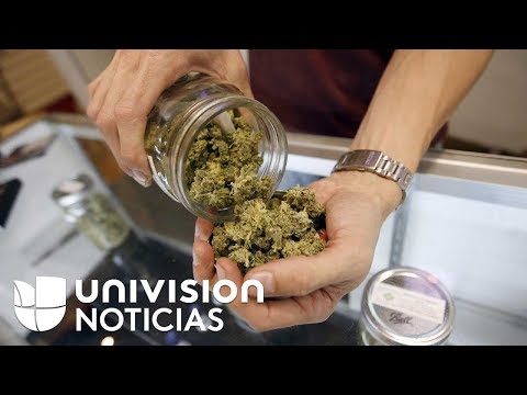 Video: Cómo encontrar el mejor dispensario de marihuana medicinal: 13 pasos