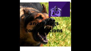 angry dogs compitition