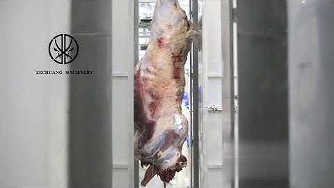 Easy To Operate Cow Abattoir Equipment Beef Carcass Washing Machine For Cattle Slaughter House