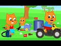 Cats Family en Français - Chauffeur de camion poubelle Animé 2024 en Français