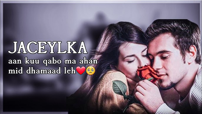 Hamma kaltaklar yalangoch Yigitlarni silkitayotgan jojalar suratlari