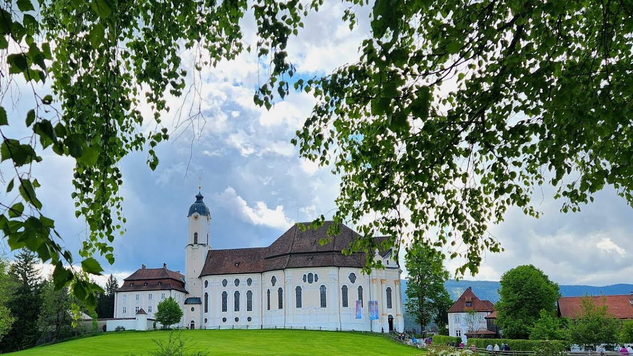Weiskirche and Bavarian Cows