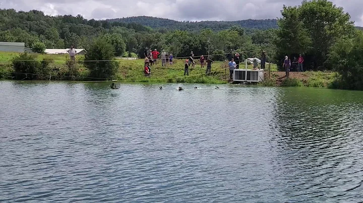 Ozark Mtn Dog Hunters Association Swim Race 2nd He...