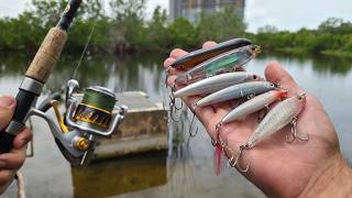 I Fished Hard Baits Only For One Week (Sort Of)