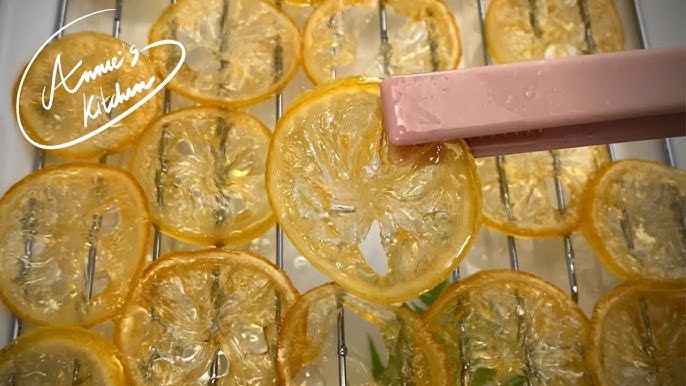 Oven Dried Lemon Slices 