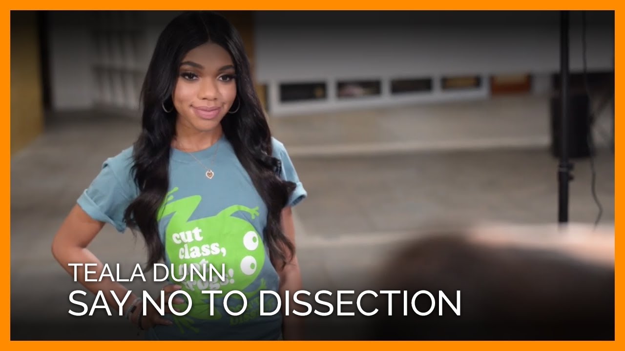vegan recipes easy Students, Listen Up: Teala Dunn Has an Important Message for You