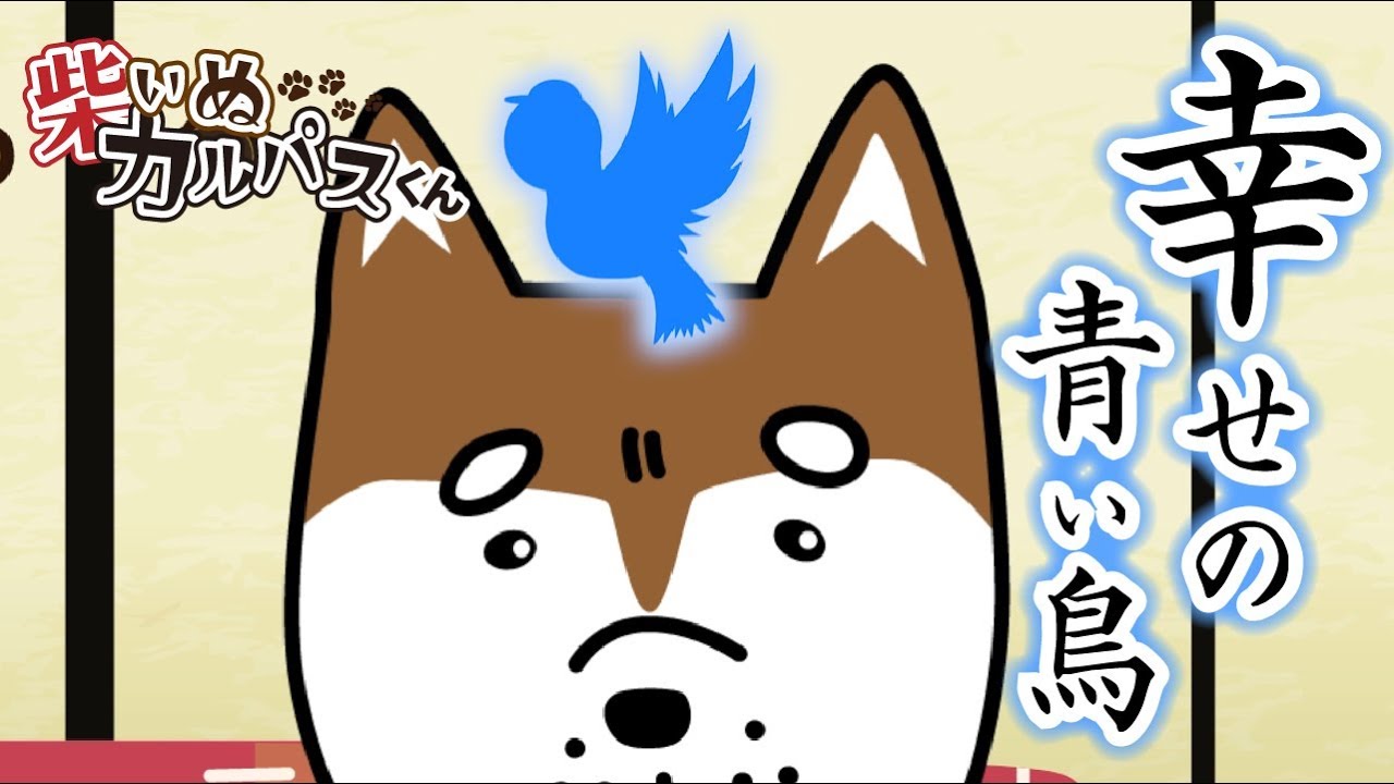 【第3話】幸せの青い鳥【柴犬カルパスくん】