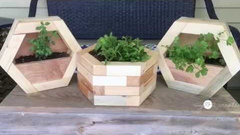 DIY Hexagon Planters