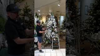Tips To Decorating Your Tree