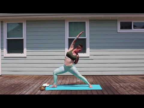 Beginner Vinyasa Yoga Class (C1)