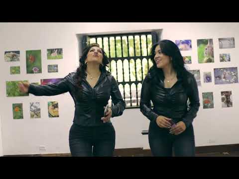 Mentiroso - Las Alondras (Éxito Popular)