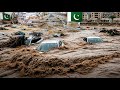 لحظات قاسية تجرف آلاف المنازل والجسور ومصرع أكثر من 400 شخص في باكستان لحظات قاسية تجرف آلاف المنازل والجسور ومصرع أكثر من 400 شخص في باكستان