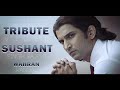 Ms dhoni  tribute   sushant singh rajput  wahran randall  tigerian civam