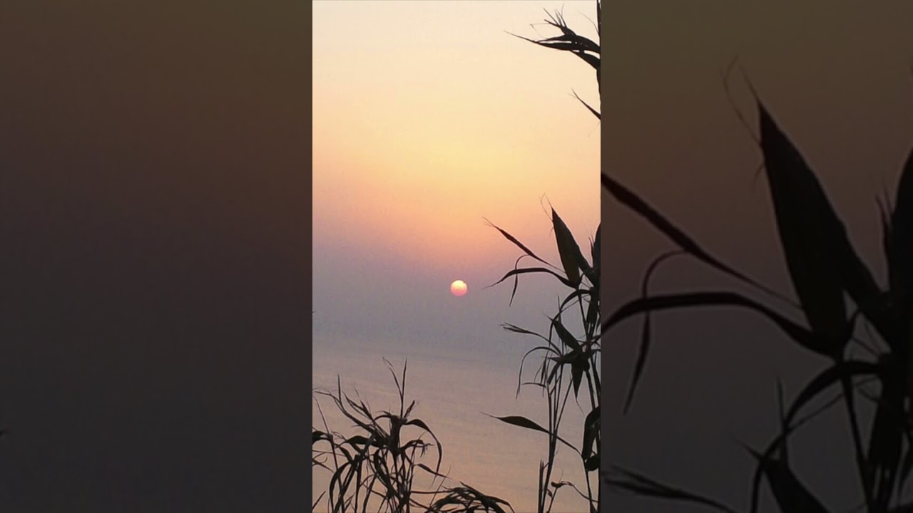 가사없는 요루시카 - 낙향 (2시간 연속재생) #guitarcover #relaxation