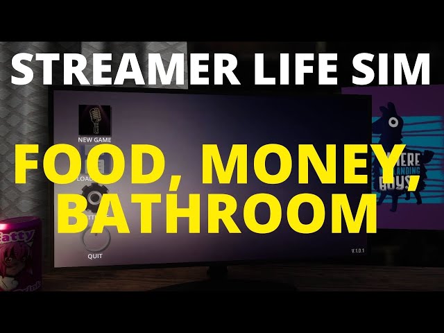 Streamer Life Simulator part 5